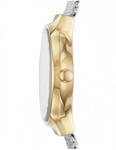 Ceas de dama Skagen Freja SKW2666