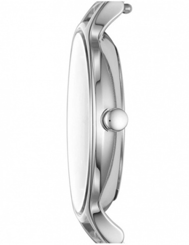 Ceas de dama Skagen Anita SKW2649