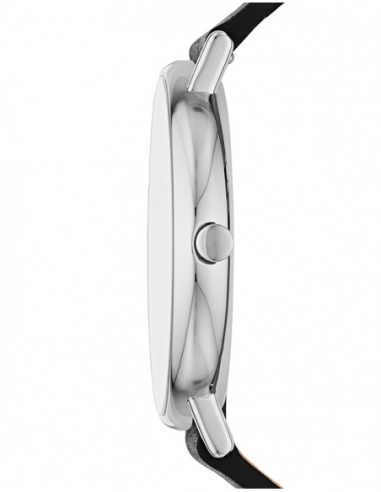 Ceas barbatesc Skagen Signatur SKW6528