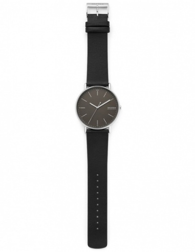 Ceas barbatesc Skagen Signatur SKW6528