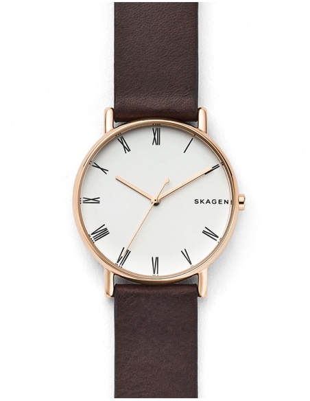 Ceas barbatesc Skagen Signatur SKW6493