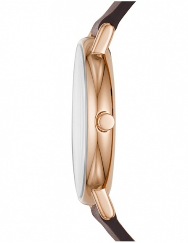 Ceas barbatesc Skagen Signatur SKW6493