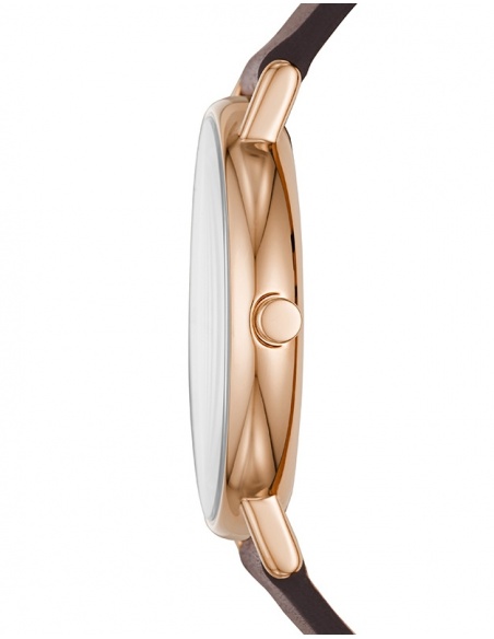 Ceas barbatesc Skagen Signatur SKW6493