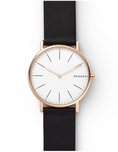 Ceas barbatesc Skagen Signatur SKW6430