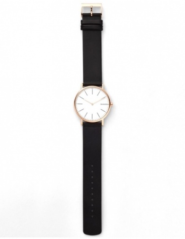 Ceas barbatesc Skagen Signatur SKW6430