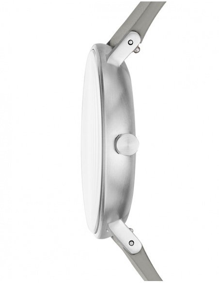 Ceas barbatesc Skagen Aaren SKW6467