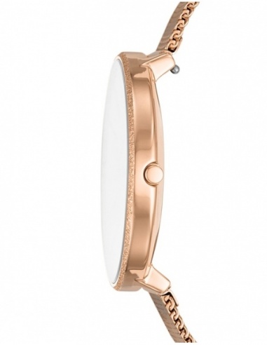Ceas de dama Skagen Karolina SKW2726