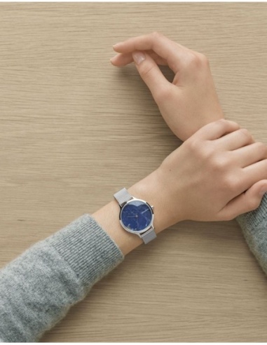 Ceas de dama Skagen Anita SKW2718
