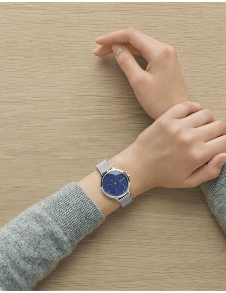 Ceas de dama Skagen Anita SKW2718