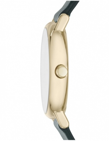 Ceas de dama Skagen Signatur SKW2727