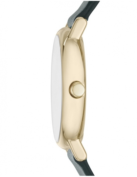 Ceas de dama Skagen Signatur SKW2727