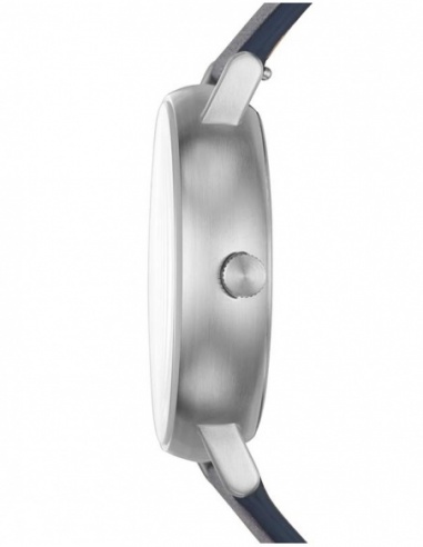 Ceas barbatesc Skagen Signatur SKW6451