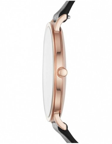 Ceas de dama Skagen Hagen SKW6447