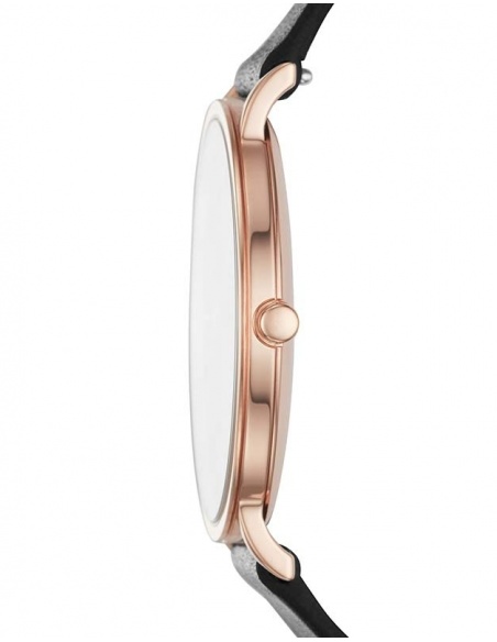 Ceas de dama Skagen Hagen SKW6447