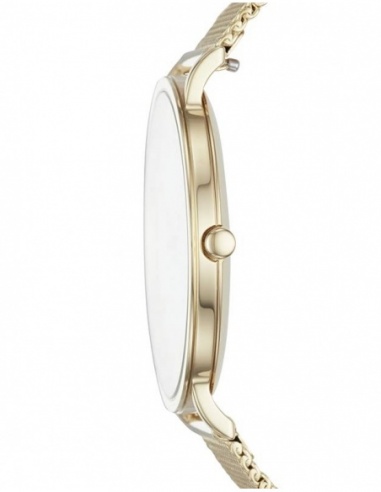 Ceas de dama Skagen Hagen SKW6443