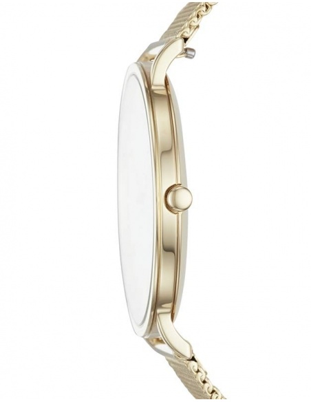 Ceas de dama Skagen Hagen SKW6443