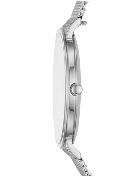 Ceas de dama Skagen Hagen SKW6442