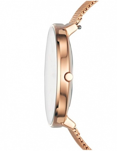 Ceas de dama Skagen Karolina SKW2688