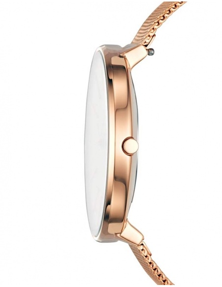 Ceas de dama Skagen Karolina SKW2688