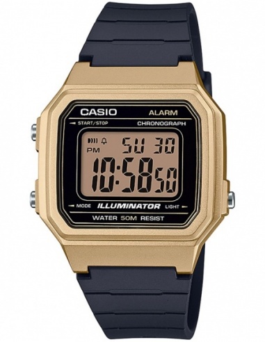 Ceas barbatesc Casio Collection W-217HM-9AVEF