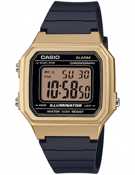 Ceas barbatesc Casio Collection W-217HM-9AVEF