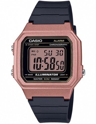 Ceas barbatesc Casio Collection W-217HM-5AVEF