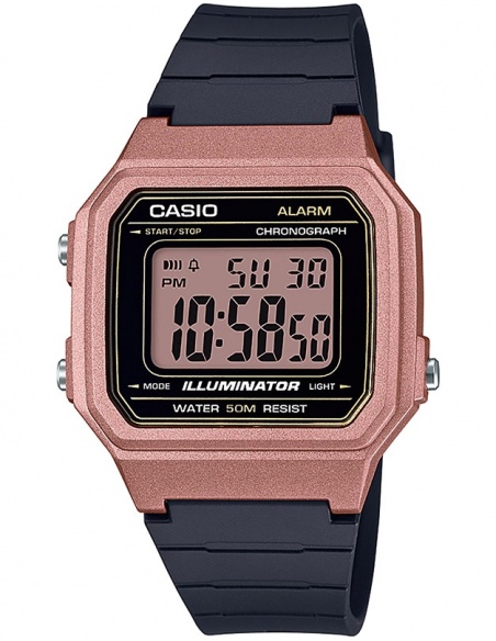 Ceas barbatesc Casio Collection W-217HM-5AVEF