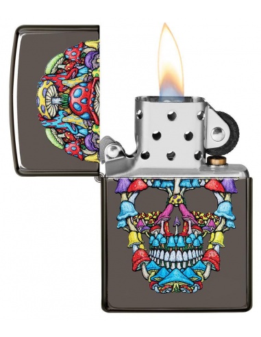 Bricheta Zippo 49135 Skull Design