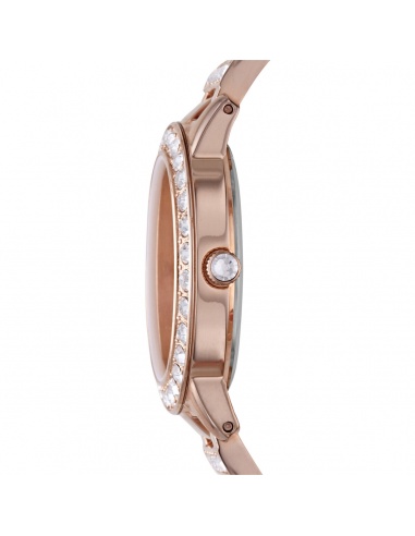 Ceas de damă Fossil Jesse ES3020