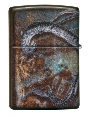 Brichetă Zippo 49434 Pirate Coin Kraken 1930 Liberty