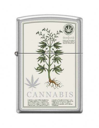 Brichetă Zippo 0596 Cannabis