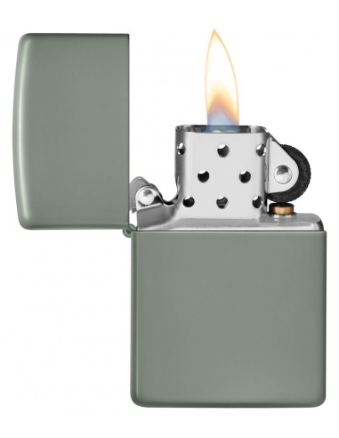 Brichetă Zippo 49843 Classic Sage Green