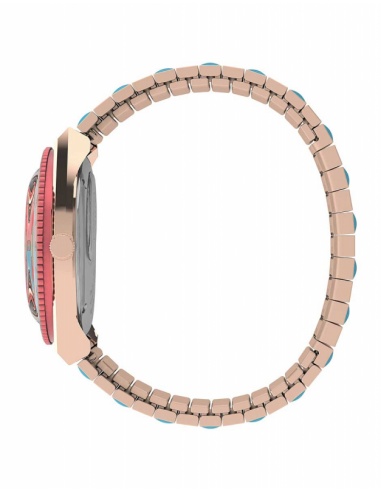Ceas de dama Timex Special Projects TW2U81500