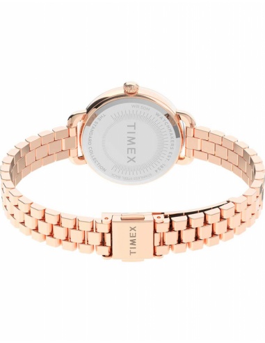 Ceas de dama Timex Casual TW2U60700