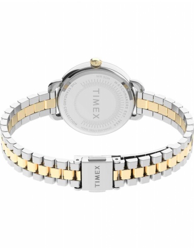 Ceas de dama Timex Casual TW2U60200