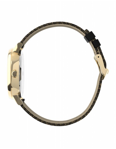 Ceas de dama Timex Casual TW2U40700