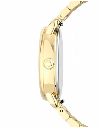 Ceas de dama Timex Casual TW2U13900