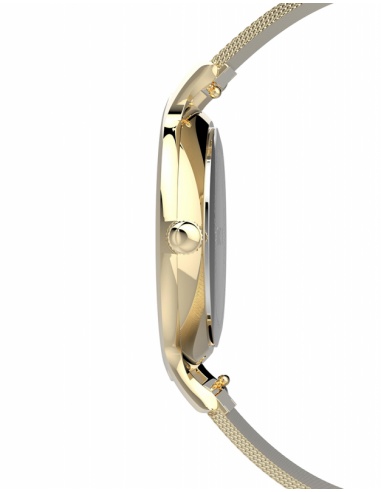 Ceas de dama Timex Casual TW2U22800