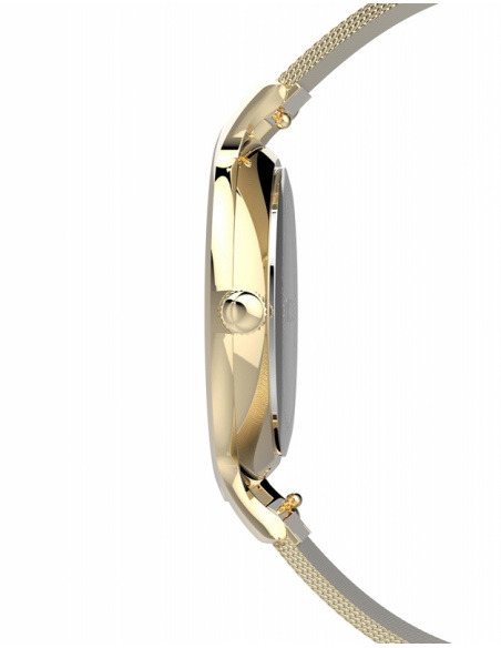 Ceas de dama Timex Casual TW2U22800