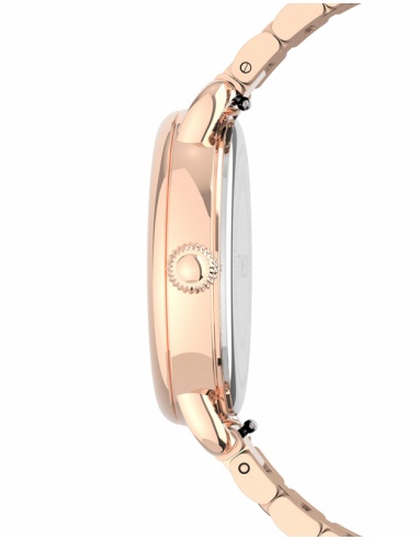 Ceas de dama Timex Casual TW2U14000