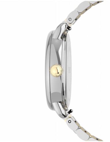 Ceas de dama Timex Casual TW2U13800
