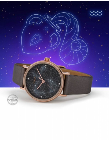 Ceas de dama Timex Dress TW2T87700
