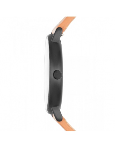 Ceas bărbătesc Skagen Signature SKW6352