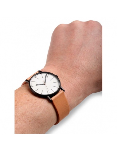 Ceas bărbătesc Skagen Signature SKW6352