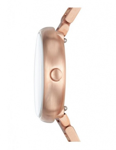 Ceas de damă Skagen Signatur SKW2619