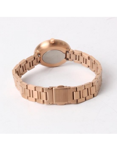 Ceas de damă Skagen Signatur SKW2619