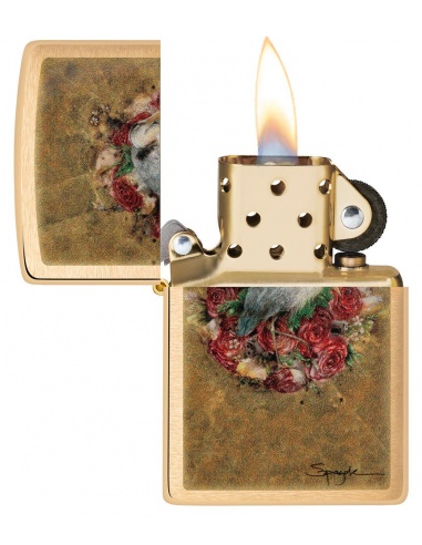 Brichetă Zippo 48329 Spazuk Bird and Roses