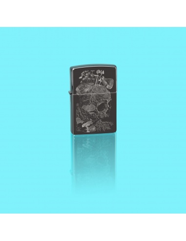 Brichetă Zippo 48590 Mushroom Growing on Skull