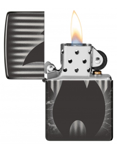 Brichetă Zippo 48738 Zippo Logo & Marble 