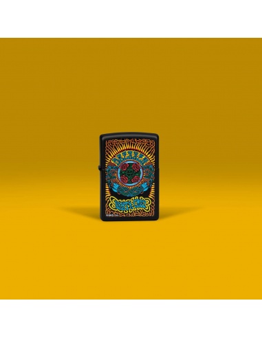 Brichetă Zippo 48742 Santa Cruz Skateboards